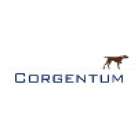 Corgentum Consulting logo - Similar company to Locus Data Center