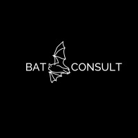 Bat Consult logo - Similar company to Bat Security