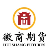 徽商期货 logo - Similar company to 第一三共ヘルスケア（株）