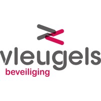 Vleugels Beveiligingstechniek logo - Similar company to Babylon Security & Services