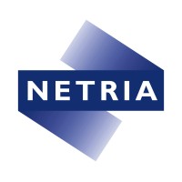 Netria Corporation logo - Similar company to Micropeer Solutions Inc