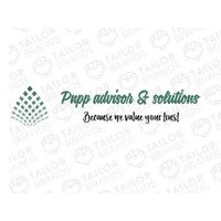 PnP Personal Advisor & Solutions logo - Similar company to Ipe Preservation Solutions