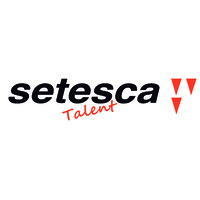 Setesca Talent logo - Similar company to Setesca