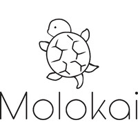 Molokai bikini & beachwear logo - Similar company to Alfad - Allestimenti Fieristici