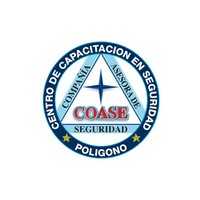 Compañía Asesora De Seguridad R Y L Sa