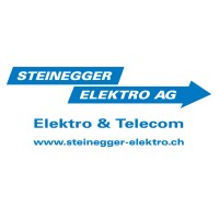 Steinegger Elektro AG logo - Similar company to Späni Elektro-Mechanik Ag