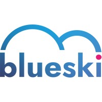 Blueski Financial Synergy logo - Similar company to Growing Your Numbers