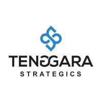 Tenggara Strategics logo - Similar company to P8 (Pokja 8)