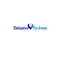 Detaxive Systems Pvt. Ltd. logo - Similar company to Coshare Labs
