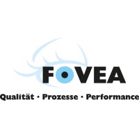 Fovea Solutions logo - Similar company to Fovea, Sl