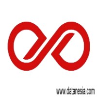 Datanesia Software logo - Similar company to Datanesia