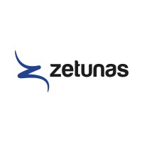 ZETUNAS Yeminli Mali Müşavirlik A.Ş. logo - Similar company to Berussa