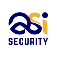QSi Security logo - Similar company to Raidian | (Stealth Mode)
