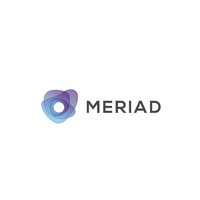 Meriad logo - Similar company to Meraid