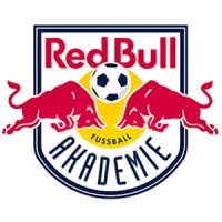 Red Bull Fußball Akademie logo - Similar company to Fc Liefering