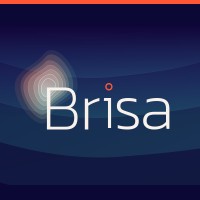 Brisa logo - Similar company to Inhouse Mobility Gmbh