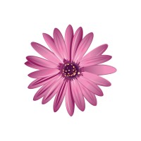 Claire's School Solutions logo - Similar company to Dc White Engineering Consultants Ltd.