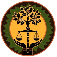 PLNF: Policy & Law Network logo - Similar company to Path Foundation