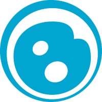 Bonwyke MENA logo - Similar company to Early Alert