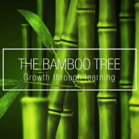 The Bamboo Tree, Pty Ltd logo - Similar company to Bamboo Business Coaching Ltd
