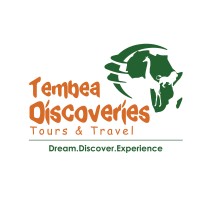 Tembea Discoveries Tours and Travel logo - Similar company to Eazybit Solution