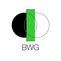 BWG Business Solutions logo - Similar company to Brosurance - Protect Your Hustle.