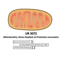 UR 3072 - Mitochondrie, Stress Oxydant et Plasticité musculaire logo - Similar company to Reliance Technology Care Solutions (Tcs)