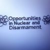 Opportunities in Nuclear and Disarmament logo - Similar company to Csis Project On Nuclear Issues (Poni)