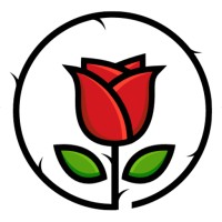Rose IT Solutions logo - Similar company to Rose It Services Limited