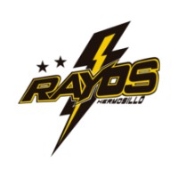 Rayos de Hermosillo logo - Similar company to Rayos De Hermosillo