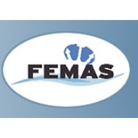 Femas - Federation Of Maritime Associations Of Surveyors And Consultants