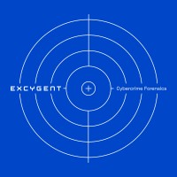 Excygent logo - Similar company to Transpose