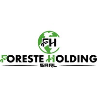 FORESTE HOLDING SARL logo - Similar company to Amani Academy Sarl-U
