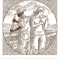 Common Ground Farm
