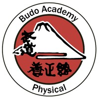 Budo Academy Physical logo - Similar company to Dts Ede