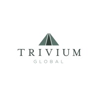 Trivium Global, LLC logo - Similar company to Cybologic