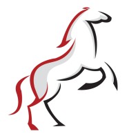 TRANSSILESIA LLC logo - Similar company to Nomadic Camel