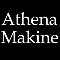 Athena Makine logo - Similar company to Prs Silo