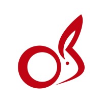 Naxto LLC logo - Similar company to Magma De México