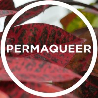 PermaQueer logo - Similar company to Make Your Change - Australia