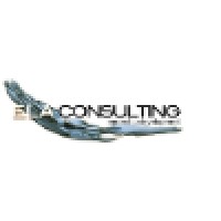 ELA Consulting Limited logo - Similar company to Ela Consulting