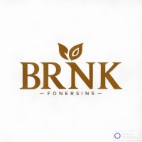 BRINK™ logo - Similar company to Bbrands Lab