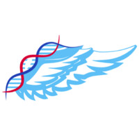 Bound Therapeutics logo - Similar company to Cerespectus™