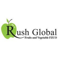 Rush Global FZCO logo - Similar company to Holiday Connect Tours & Travels