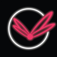 Amplifly logo - Similar company to Space Marketing Nz