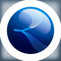 RGA Systemes logo - Similar company to Tt Systemes