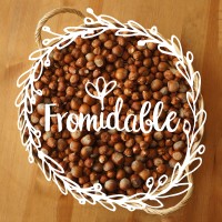 Fromidable logo - Similar company to Pharmacodietetics