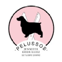 Peluqueria Canina Pelussos logo - Similar company to Peluquería Nic