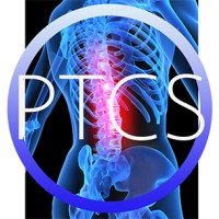Pinnacle Training Consulting Systems logo - Similar company to Physical Therapy 2 Go