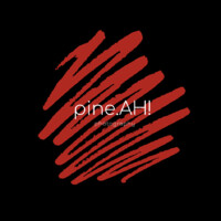 pineAH logo - Similar company to Anairam